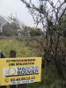 Vente Terrain Turballe 44420 318 m2