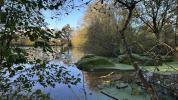 Vente Terrain Chaille-sous-les-ormeaux 85310 8220 m2