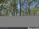 Vente Maison Casteljaloux 47700 160 m2