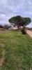 Vente Terrain Charmes-sur-rhone 07800 493 m2