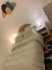 Location Appartement Creteil 94000 33 m2