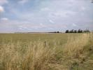 Vente Terrain Saint-laurent-de-la-pree 17450 320 m2