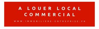 Location Local commercial Rennes 35000 454 m2