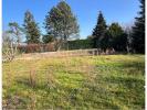 Vente Terrain Feurs 42110 743 m2