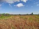 Vente Terrain Saint-andre 66690