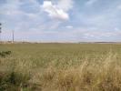 Vente Terrain Saint-agnant 17620 1055 m2
