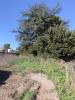 Vente Terrain Cournonterral 34660 396 m2