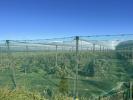 Vente Terrain Elne 66200 5 pieces 32767 m2