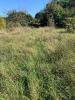 Vente Terrain Castelnau-d'estretefonds 31620 5060 m2