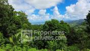 Vente Maison Trois-ilets 97229 3 pieces 150 m2