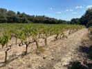 Vente Terrain Saint-hilaire-d'ozilhan 30210 6566 m2
