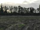 Vente Terrain Saint-hippolyte 17430 325 m2