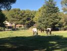 Vente Gite Fontvieille  13990 6 pieces 200 m2