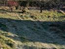 Vente Terrain Davezieux 07430 1484 m2