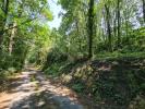 Vente Terrain Roquecourbe 81210