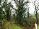 Vente Terrain Saint-tugdual  56540 13922 m2