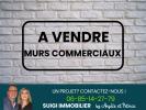 Vente Local commercial Entraigues-sur-la-sorgue 84320 350 m2
