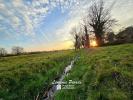 Vente Terrain Pizou 24700 7700 m2