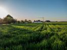 Vente Terrain Bolbec 76210 322 m2