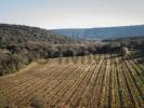 Vente Terrain Bosc 34700