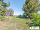 Vente Terrain Marseillan 34340 569 m2