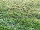 Vente Terrain Saint-sauveur-de-puynormand 33660