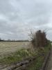 Vente Terrain Waben 62180 28520 m2