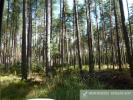 Vente Prestige Lamotte-beuvron  41600 7 pieces 160 m2