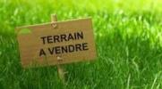 Vente Terrain Epervans 71380 1000 m2