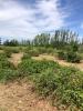 Vente Terrain Saint-hilaire-d'ozilhan 30210 1900 m2