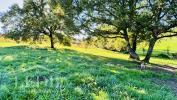 Vente Terrain Bergerac 24100 2200 m2