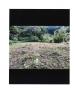 Vente Terrain Fonds-saint-denis 97250 1400 m2