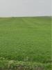 Vente Terrain Villedoux 17230 32767 m2