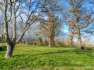 Vente Terrain Hinx  40180 2825 m2