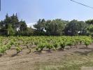 Vente Maison Sainte-cecile-les-vignes 84290 5 pieces 118 m2