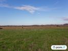 Vente Terrain Varzay 17460 8912 m2