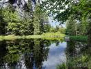 Vente Terrain Faucogney-et-la-mer 70310 9268 m2