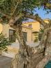 Vente Maison Fontvieille  13990 4 pieces 103 m2