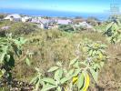 Vente Terrain Plaine-des-cafres 97418