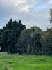 Vente Terrain Salon-de-provence  13300 400 m2