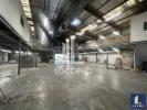 Location Commerce Carros  06510 1110 m2