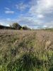 Vente Terrain Rochefort-du-gard 30650 800 m2