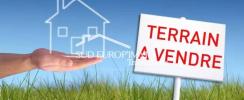 Vente Terrain Nice SAINT ROMAN DE BELLET 06200 7894 m2