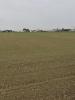 Vente Terrain Villedoux 17230 32767 m2