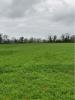 Vente Terrain Ballon 17290 435 m2