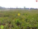 Vente Terrain Montet  03240 1520 m2