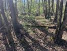 Vente Domaine forestier Puymirol  47270 5500 m2