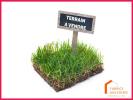 Vente Terrain Vironchaux  80150 710 m2