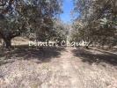 Vente Terrain Pezenas 34120 5280 m2