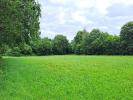 Vente Terrain Ploneour-lanvern  29720 493 m2